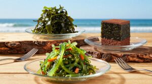 Do Mar para o Prato: Macroalgas Aparecem em Receitas Doces e Salgadas