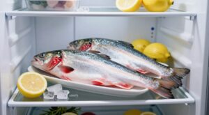 Peixe na Geladeira: Quais Sinais Indicam que Pode Ser Hora de Descartar